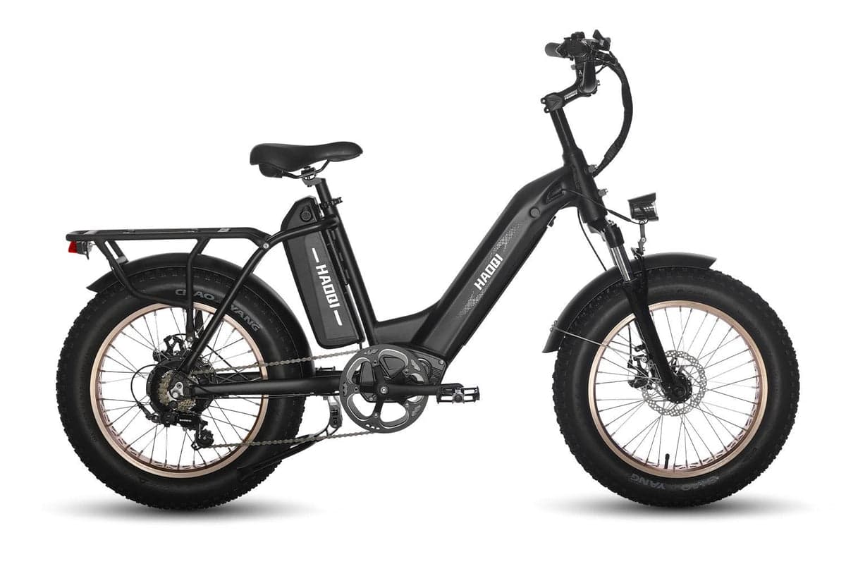 HAOQI Antelope Pro 750W Cargo Electric Bike (UL Certified)
